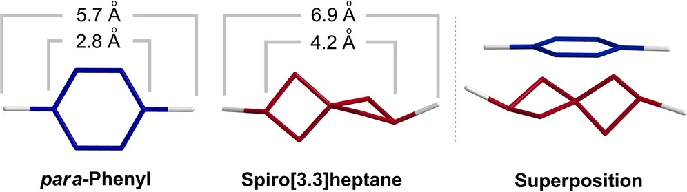 Open access visualization of Chemical Structure, Benzene Ring, Spiro[3.3]heptane Scaffold, Superposition