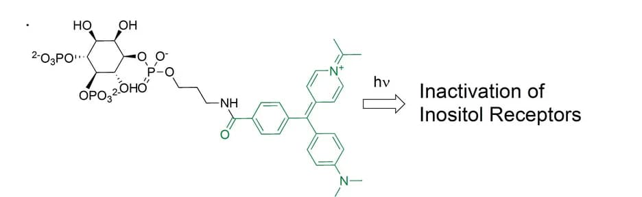 Open access visualization of Chemical Structure, Inositol, Malachite Green, Inositol Receptors, Photo-inactivation