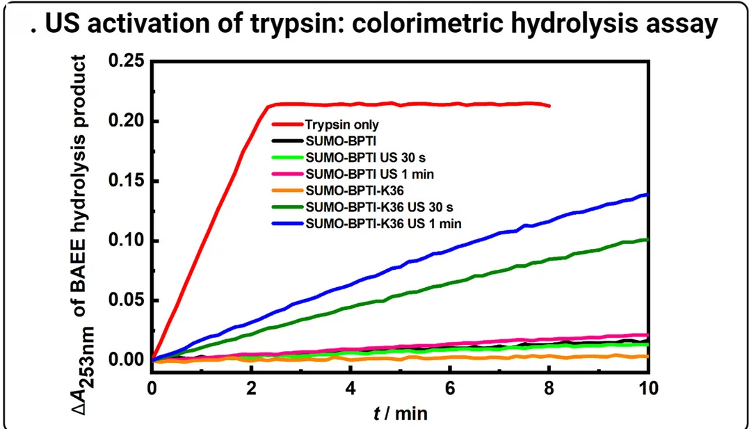 Open access visualization of Line Plot, Enzymatic Activity, Trypsin, Bovine Pancreatic Trypsin Inhibitor, Ultrasound