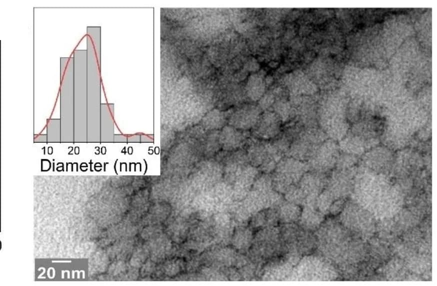 Open access visualization of Microscopy, Histogram, Line Plot, Transmission Electron Micrograph, Diameter Distribution