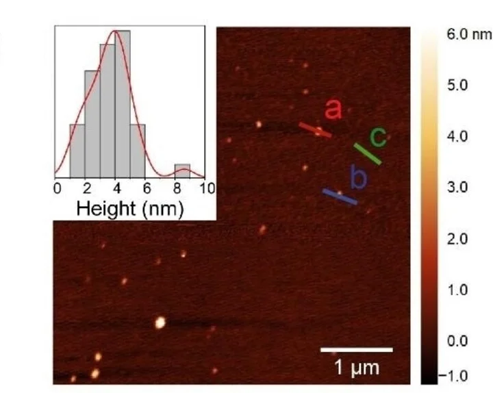 Open access visualization of Microscopy, Histogram, Density Plot, Atomic Force Microscopy, Oligomers
