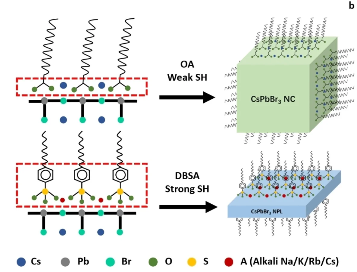 Open access visualization of Illustration, Chemical Structure, CsPbBr3 Perovskite, OA Ligands, DBSA Ligands