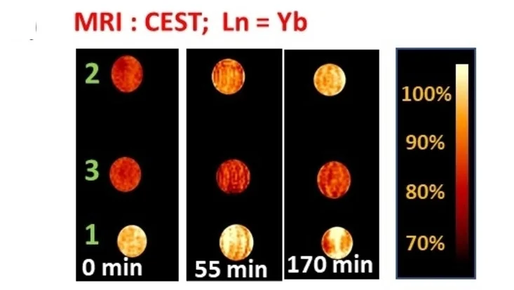 Open access visualization of Photo, Microscopy, CEST Images, Spin-Echo Sequence, Phosphate Buffer