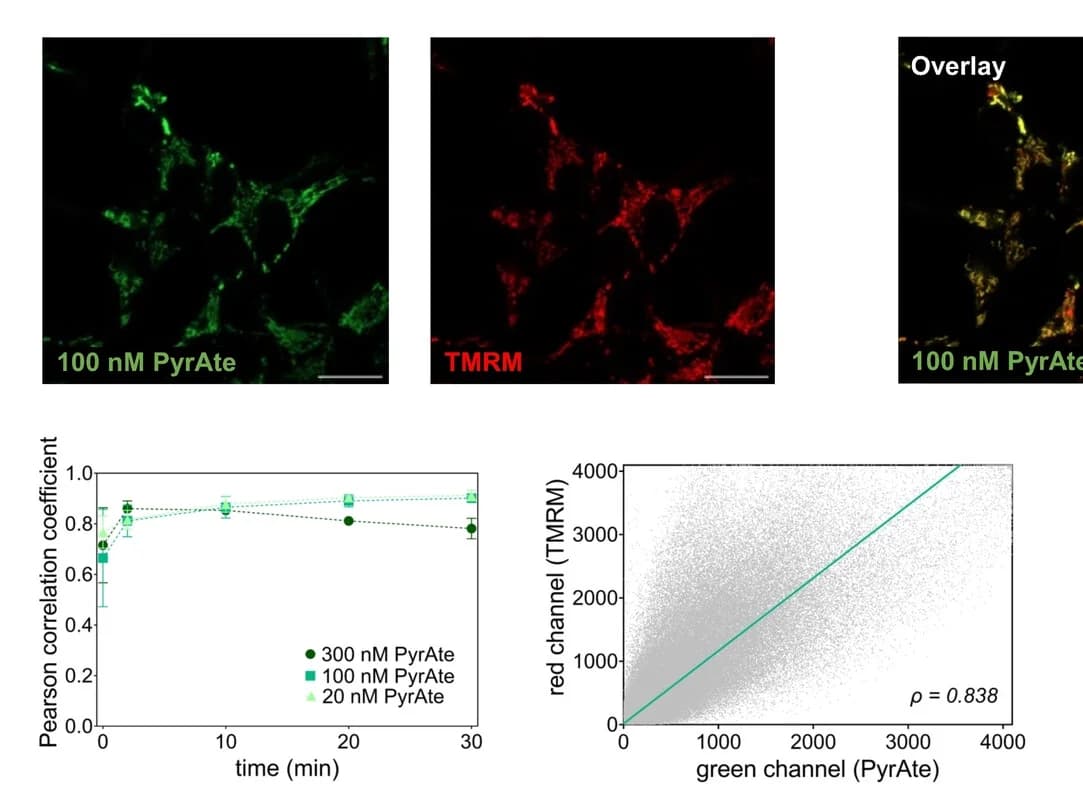 Open access visualization of Microscopy, Line Plot, Error Bars, Scatter Plot, Regression Plot