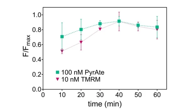 Open access visualization of Line Plot, Error Bars, PyrAte7 a, TMRM, Bleaching