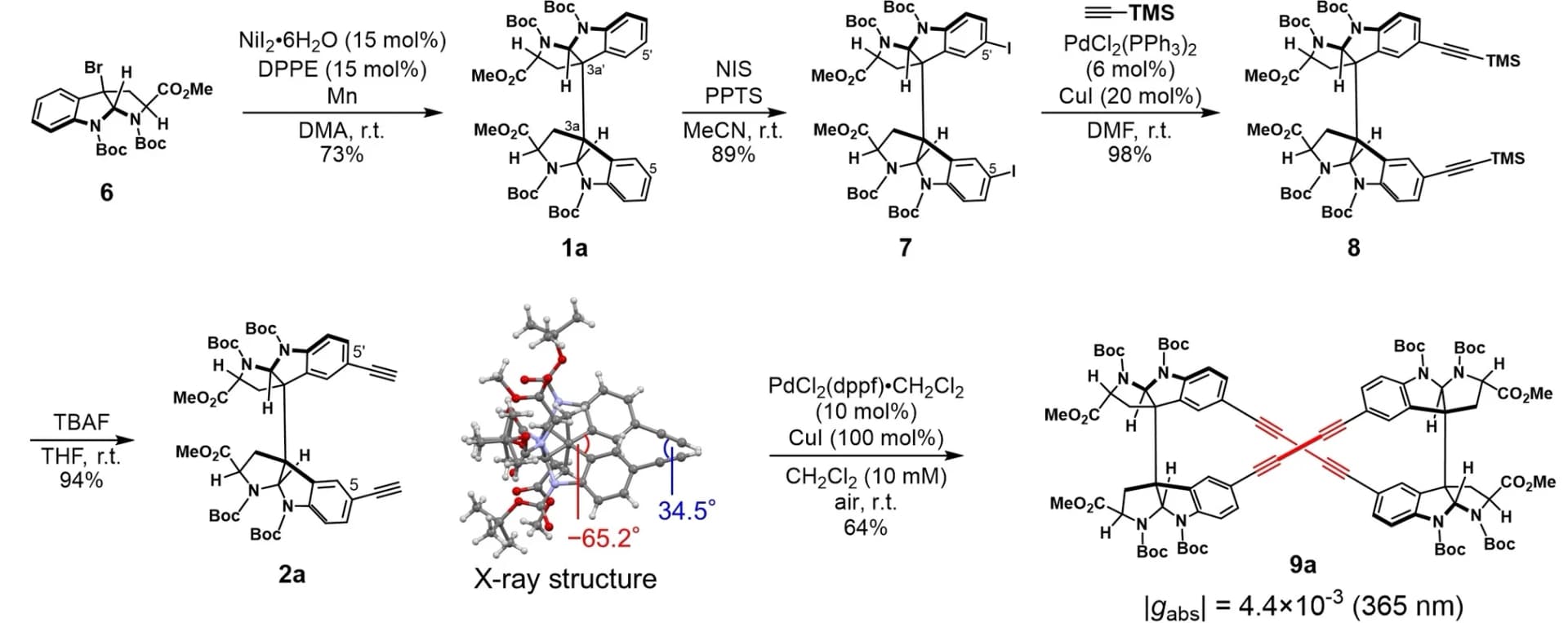 Open access visualization of Workflow, Chemical Structure, Synthesis, BPI Scaffolds, Cyclodimerization