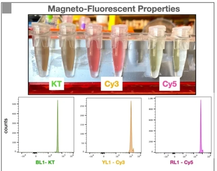 Open access visualization of Line Plot, Density Plot, Photo, Magnetic Separation, MagSiGlow Beads
