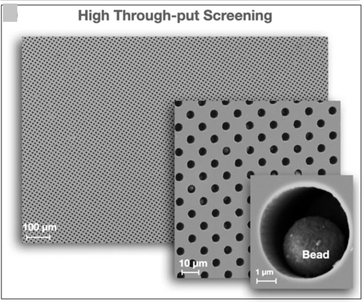 Open access visualization of Microscopy, TEM Images, Microarrays, Fluorescence Microscopy, Single Bead Imaging
