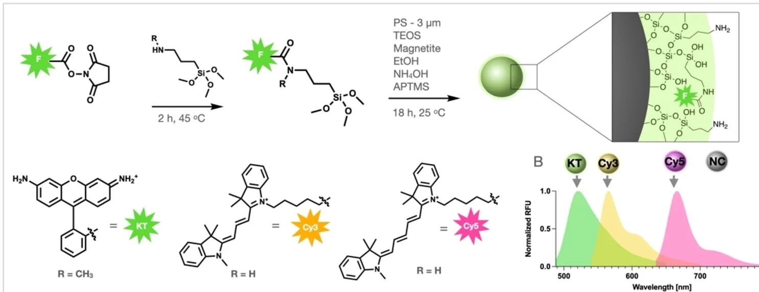 Open access visualization of Line Plot, Illustration, Workflow, Chemical Structure, TMS-Fluorophores