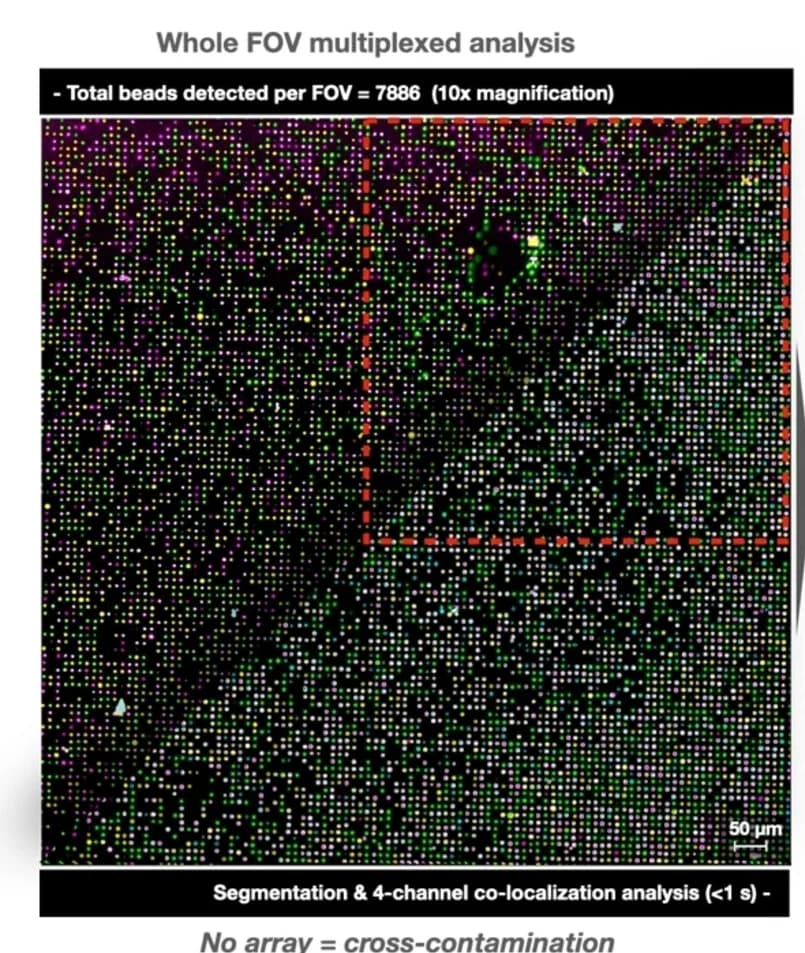Open access visualization of Microscopy, Beads, Co-localization, Binding Signal, Image Segmentation