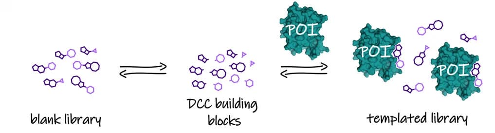 Open access visualization of Workflow, Illustration, Chemical Structure, DCC, Protein of Interest