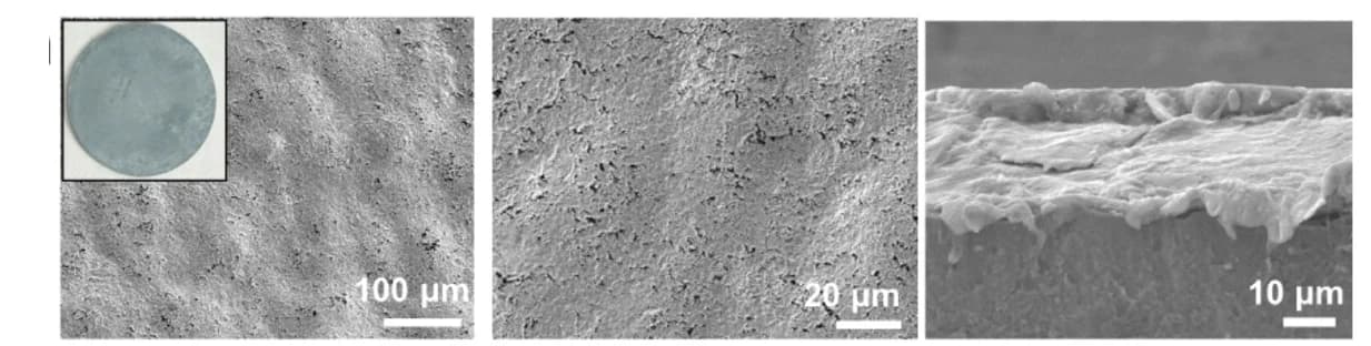 Open access visualization of Microscopy, Photo, SEM Images, ZWO@Zn Anodes, After Cycling