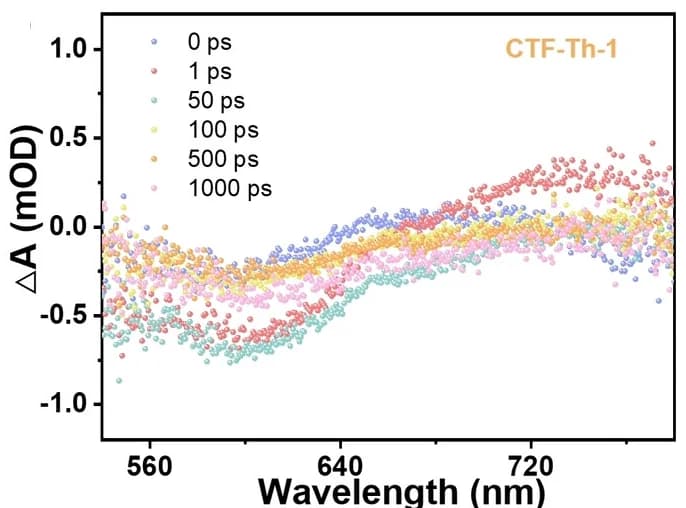 Open access visualization of Scatter Plot, CTF-Th-1, Transient Absorption