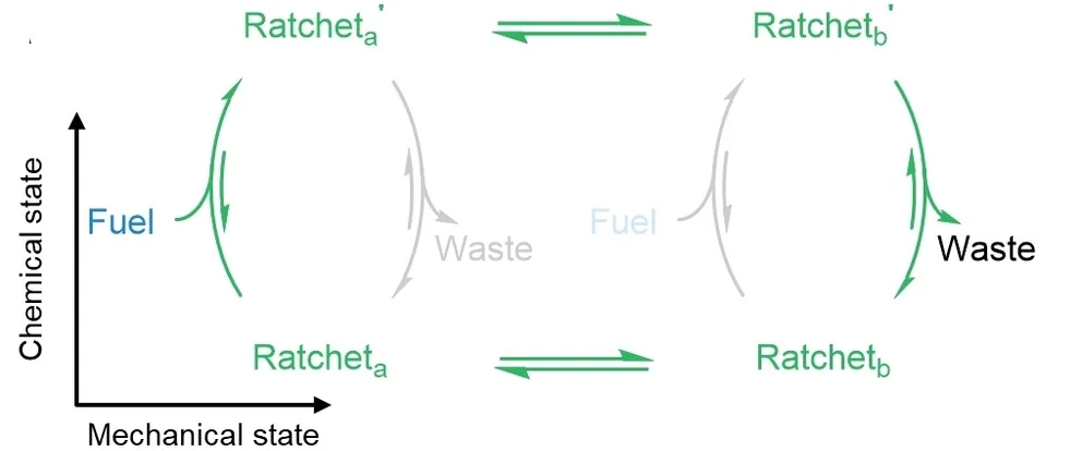 Open access visualization of Workflow, Illustration, Information Ratchets, Directional Motion, Kinetic Gating