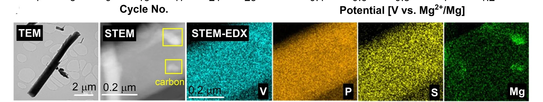 Open access visualization of Microscopy, Electron Microscope Images, Mg0.51V2PS10, TEM Image, Crystallite