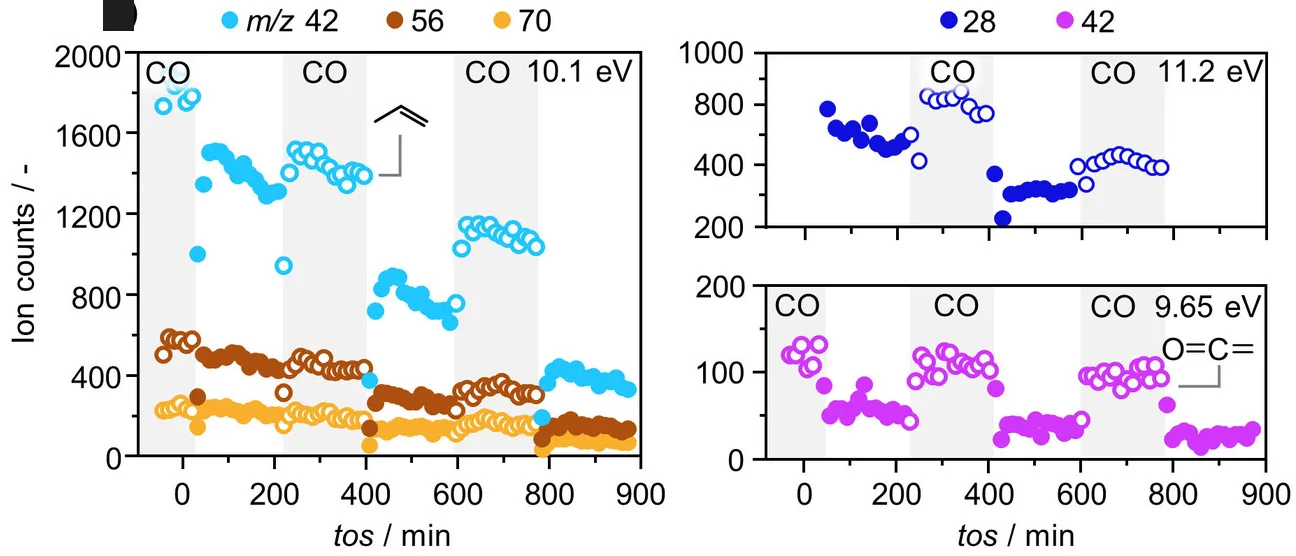Open access visualization of Line Plot, Scatter Plot, Peak Areas, m/z42, m/z56