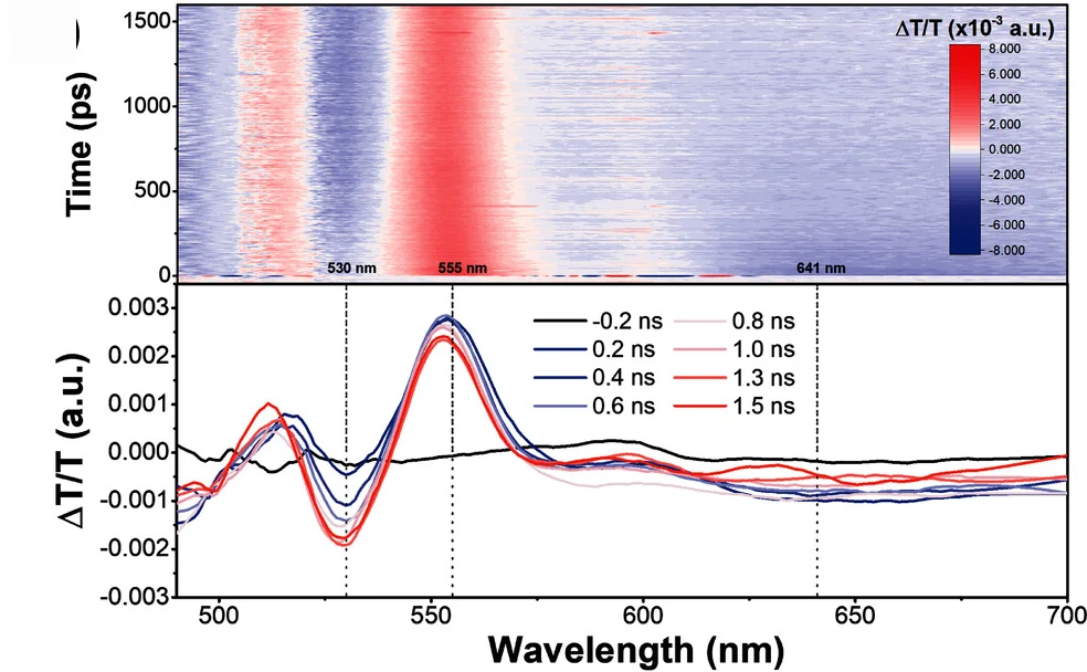 Open access visualization of Heatmap, Line Plot, Transient Absorption Spectra, Tc6, Toluene