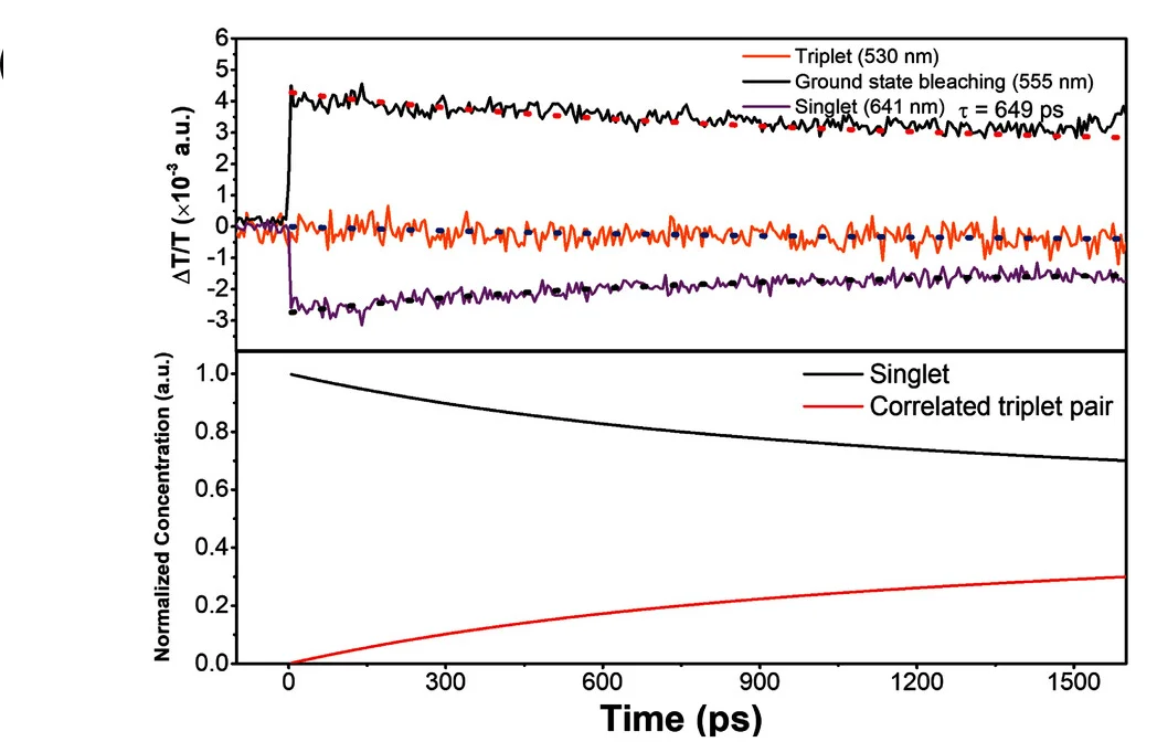 Open access visualization of Line Plot, Kinetics Traces, Tc2, Model Fits, Global Analysis