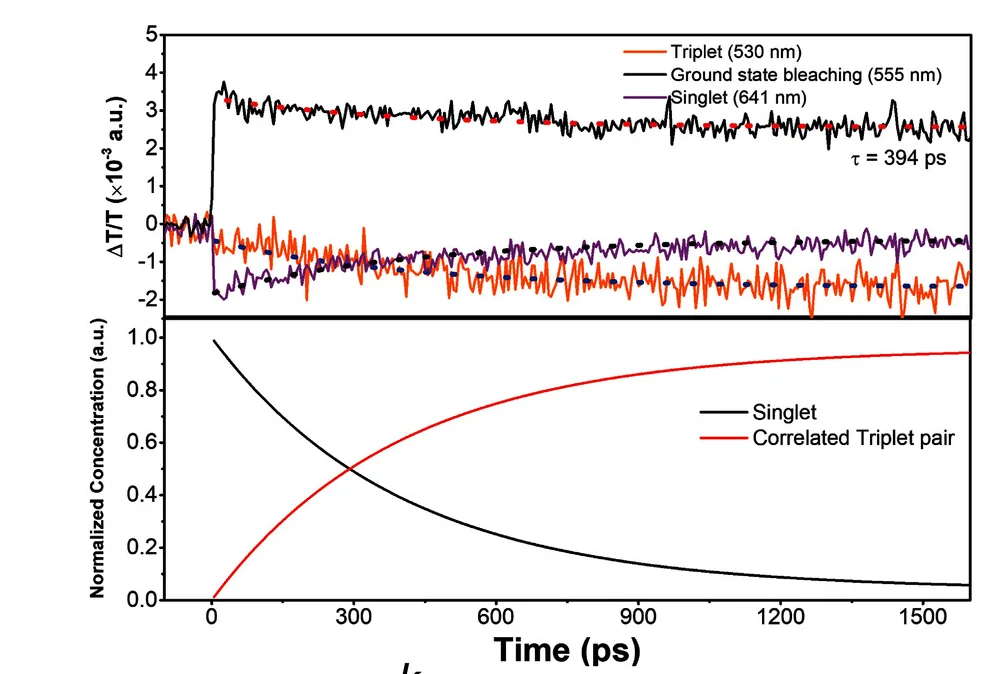 Open access visualization of Line Plot, Kinetics Traces, Tc6, Model Fits, Global Analysis