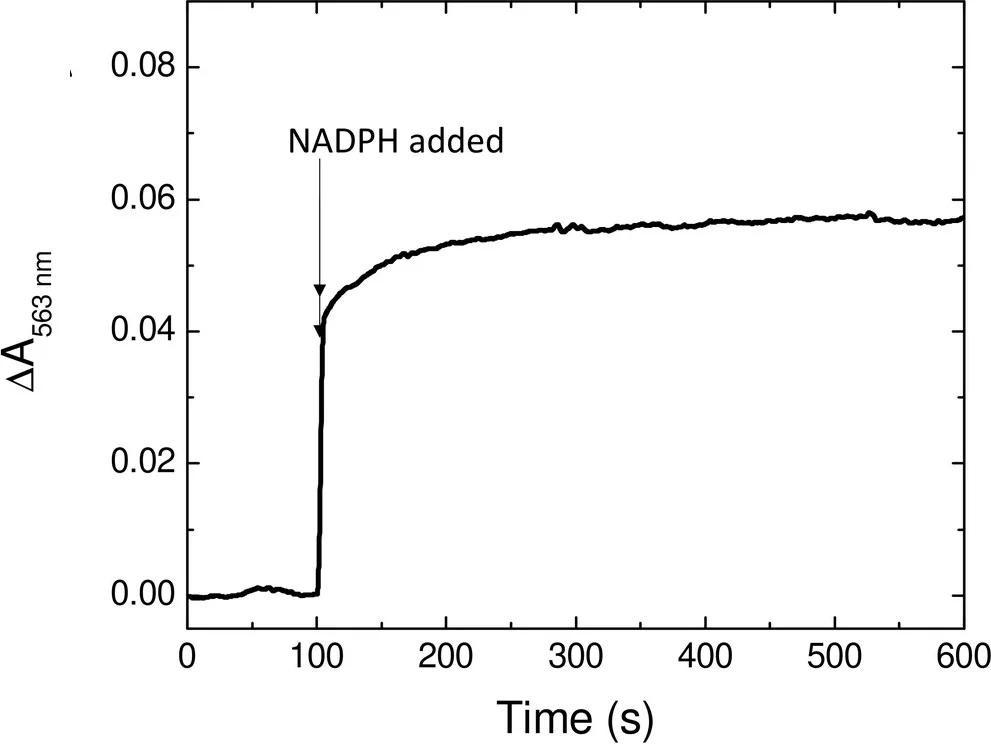 Open access visualization of Line Plot, NADPH, Iron, Bfr, Bfd