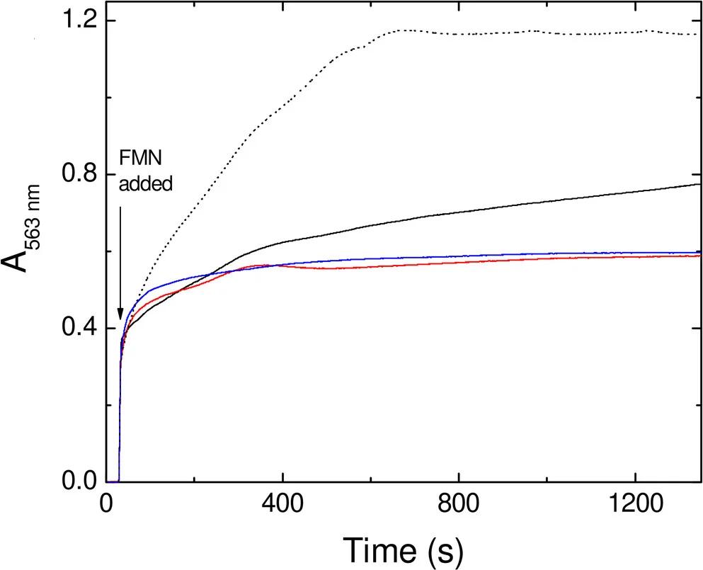Open access visualization of Line Plot, Ferroxidase Centre, Iron Release, Bfr, Absorbance