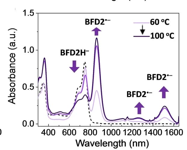 Open access visualization of Line Plot, UV/Vis-NIR Spectra, Chlorobenzene, Conversion, Isomerization