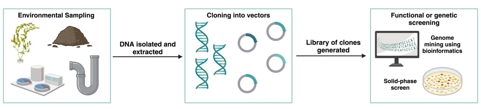 Open access visualization of Workflow, Flowchart, Metagenomics, DNA, Sequencing