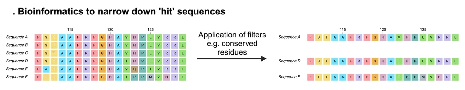 Open access visualization of Workflow, Bioinformatics Tools, Metagenomic Databases, Sequence Analysis