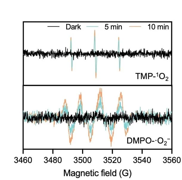 Open access visualization of Line Plot, EPR Spectra, ROS, Light Irradiation