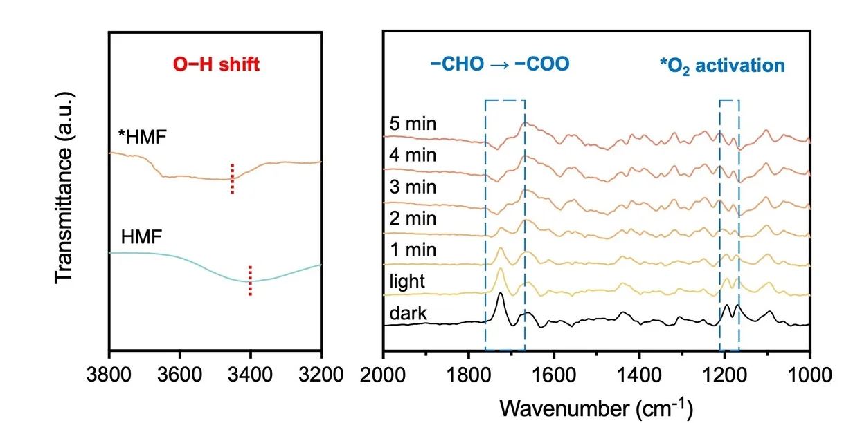 Open access visualization of Line Plot, In situ ATR-SEIRAS Spectra, Photocatalytic Oxidation, HMF