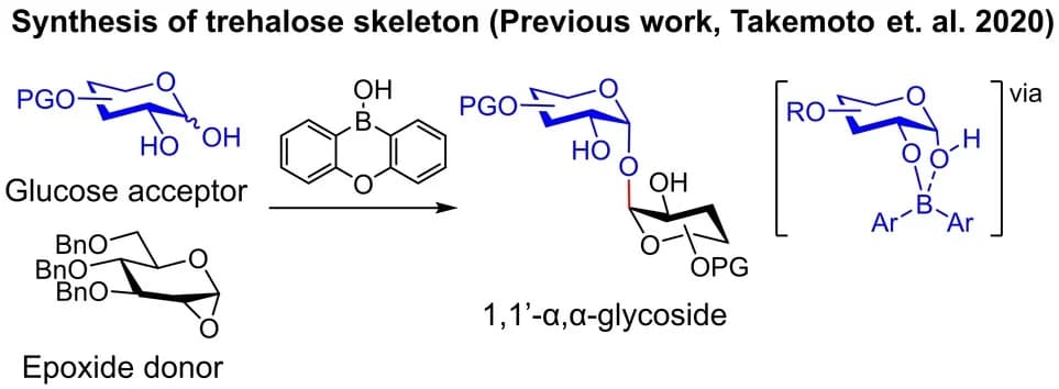 Open access visualization of Chemical Structure, Workflow, Trehalose, Protecting Groups, Aryl