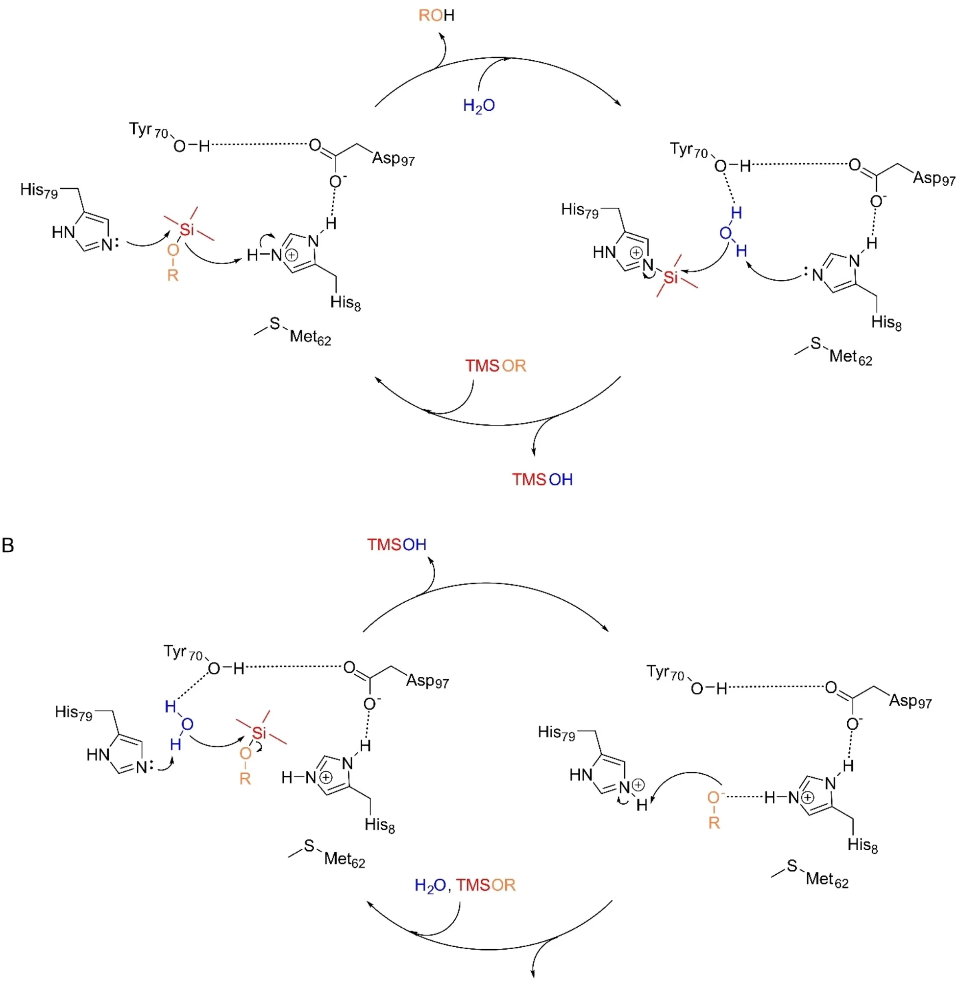 Open access visualization of Chemical Structure, Reaction Mechanisms, Silyl Ethers, SilE-R, SilE-S