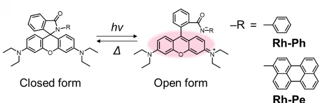 Open access visualization of Chemical Structure, Rhodamine Spirolactam Derivatives, Molecular Structures