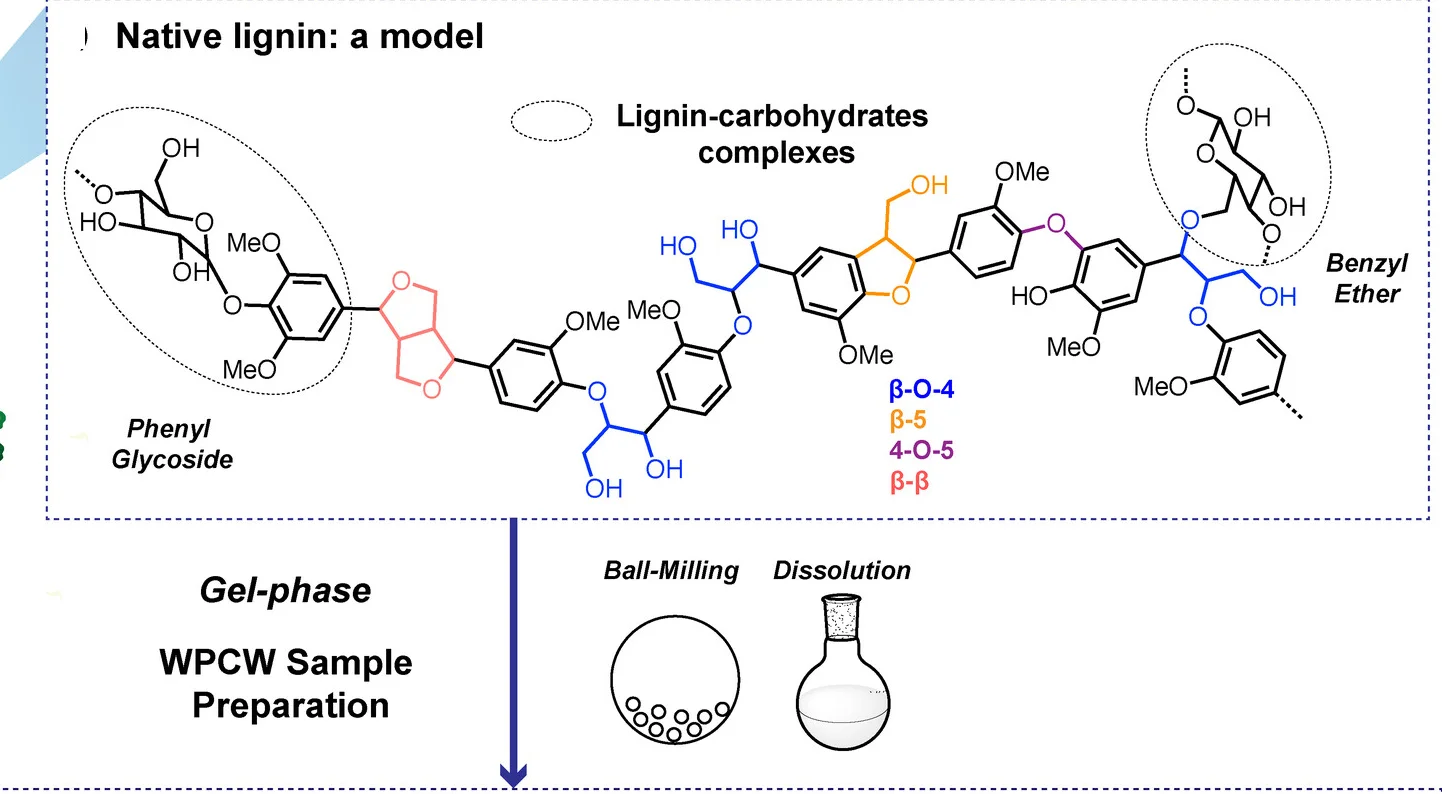 Open access visualization of Chemical Structure, Workflow, Lignin, Cell Wall, Lignin-Carbohydrates Complexes