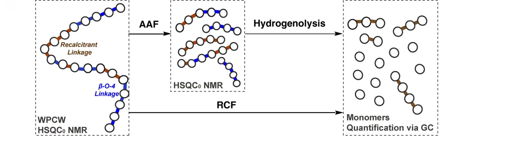 Open access visualization of Workflow, Flowchart, Illustration, Lignin, Cell Wall Biomass