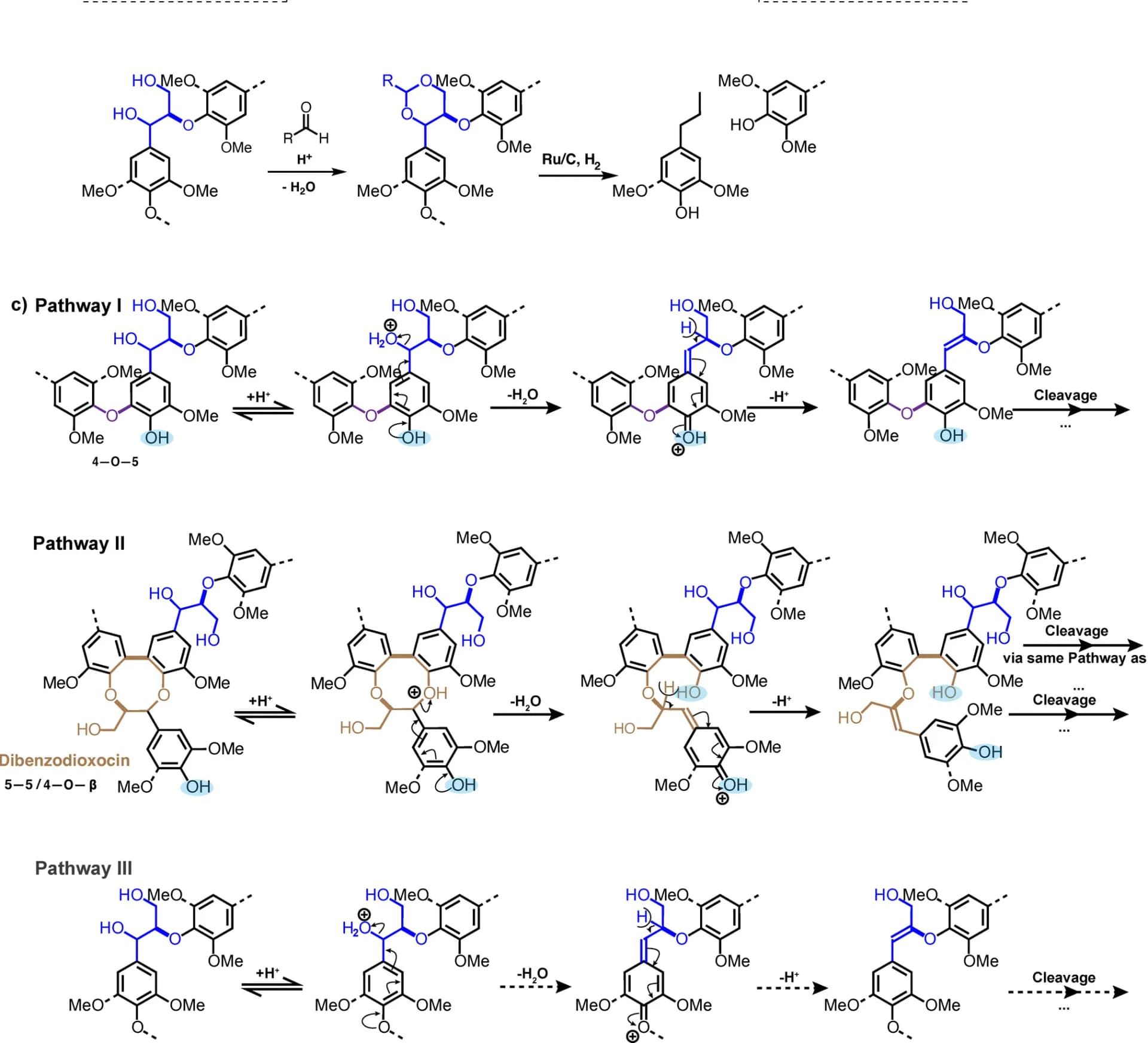 Open access visualization of Workflow, Flowchart, Illustration, Lignin, Extraction