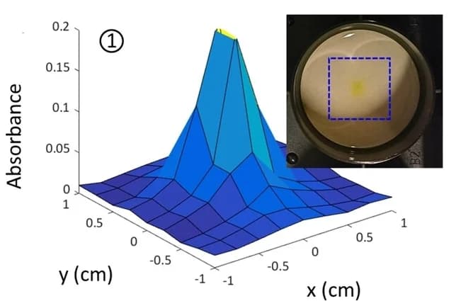 Open access visualization of 3D Plot, Photo, 2D Contour Plots, Absorbance, Gel