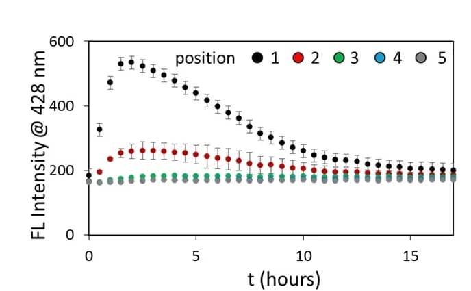 Open access visualization of Line Plot, Error Bars, Fluorescence Intensity, Gel, DPH