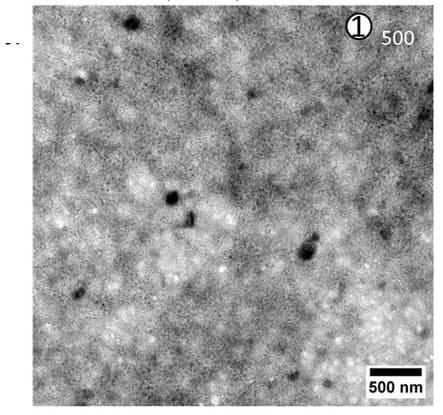 Open access visualization of Microscopy, Transmission Electron Microscopy, TEM, Gel