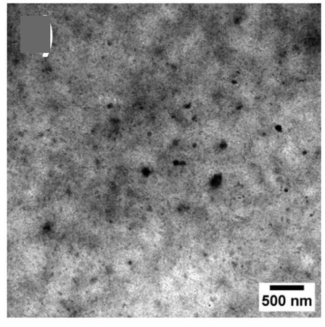 Open access visualization of Microscopy, TEM Images, Gels