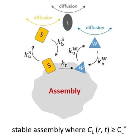 Open access visualization of Workflow, Illustration, Reaction-diffusion Model, Kinetic Parameters, Dissolution