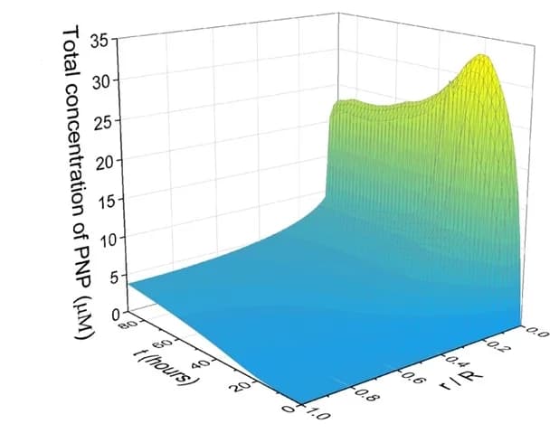Open access visualization of 3D Plot, PNP Concentration, Reaction Well, Reaction-diffusion Model, Rate Constants