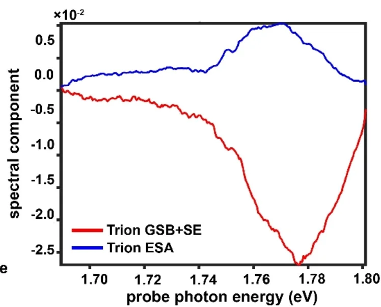 Open access visualization of Line Plot, Spectra Components, Global Analysis, Monolayer MoS2