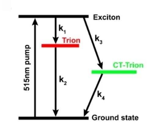 Open access visualization of Workflow, Flowchart, Ru-MoS2 Heterojunction, Kinetic Model, Energy Levels