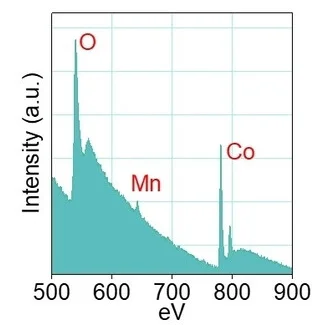 Open access visualization of Line Plot, Density Plot, EELS spectra, Mn SA-CoP NNs