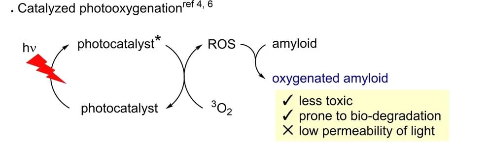 Open access visualization of Workflow, Flowchart, Illustration, Amyloids, Catalytic Photooxygenation