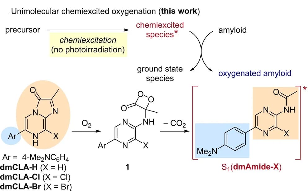 Open access visualization of Workflow, Chemical Structure, Autooxidation, Decarboxylation, dmCLA-X