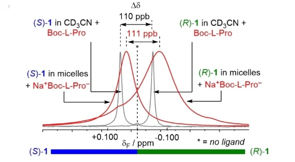 Open access visualization of Line Plot, Density Plot, 19F NMR Spectra, TFEA Region, DPC Micelles