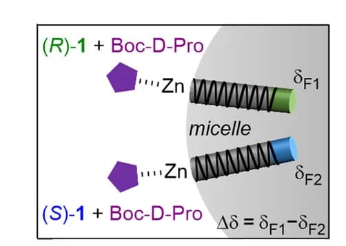 Open access visualization of Illustration, Chemical Structure, Boc-D-Pro, DPC Micelles