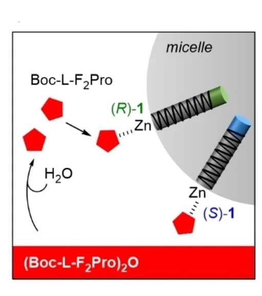 Open access visualization of Workflow, Illustration, Reaction Signaling System, DPC Micelles, Signaling Molecule